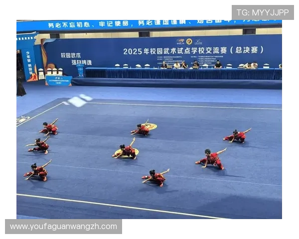 腾龙真人现场表演细节揭秘，揭示武术背后的文化内涵和技艺精粹