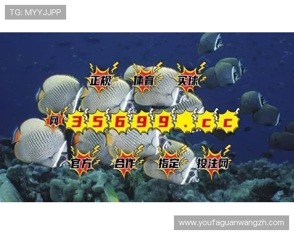BG视讯app下载后常见问题解决方案，确保你的游戏体验顺畅无忧